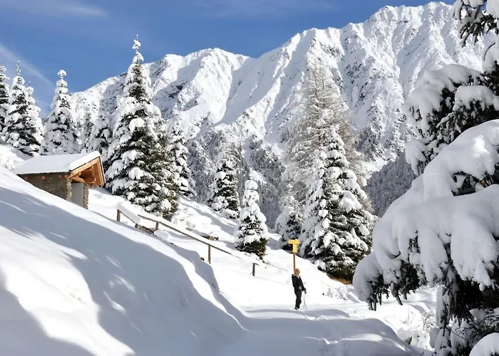 In The Laerchenwald House Niederthai
